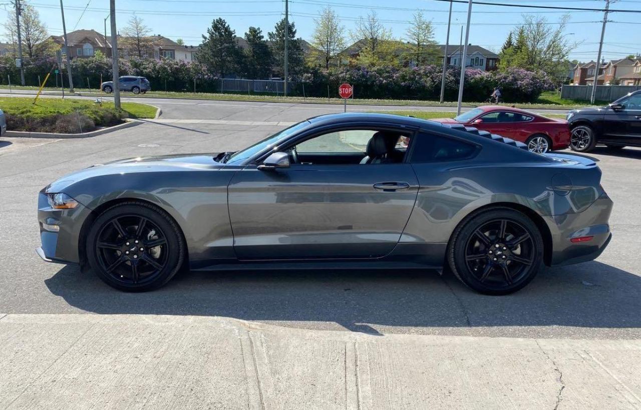 Used 2019 Ford Mustang EcoBoost for sale in Brampton, ON