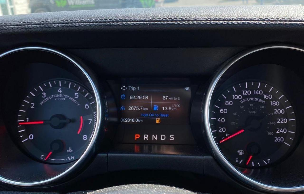 2019 Ford Mustang EcoBoost Photo4