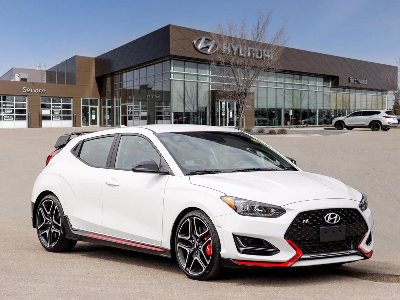 veloster winnipeg carpages