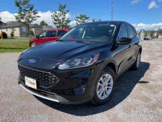 New 2021 Ford Escape SE for sale in Peterborough, ON