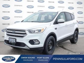 Used 2019 Ford Escape SE - Heated Seats -  Android Auto - $196 B/W for sale in Port Elgin, ON