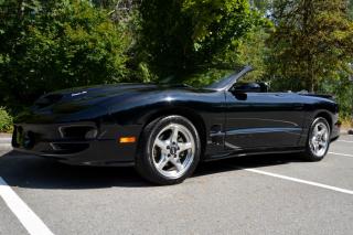 A local accident free Pontiac Firebird Trans Am WS6 Con vertible with only 24,500 KM!! Well equipped with Leather seats, 6-Way power drivers seat, Monsoon Hi-Fi sound system, 12 Disc CD changer, Steering wheel controls, Tilt steering wheel, Power windows, Power door locks, Power mirrors, Cruise control, Air conditioning, Power soft top, Flip up headlights, Fog lamps, 17 Alloy wheels. 5.7L V8 mated to a 6 speed manual transmission rated by the factory at 325hp / 350lb-ft. A 1 year warranty is included in the purchase price of this vehicle. Well maintained and just serviced. Leasing and financing available. All trades accepted. 
 
 Viewing by appointment 

 Dealer # 10290 
 
 null