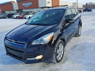 Used 2016 Ford Escape Titanium for sale in Steinbach, MB
