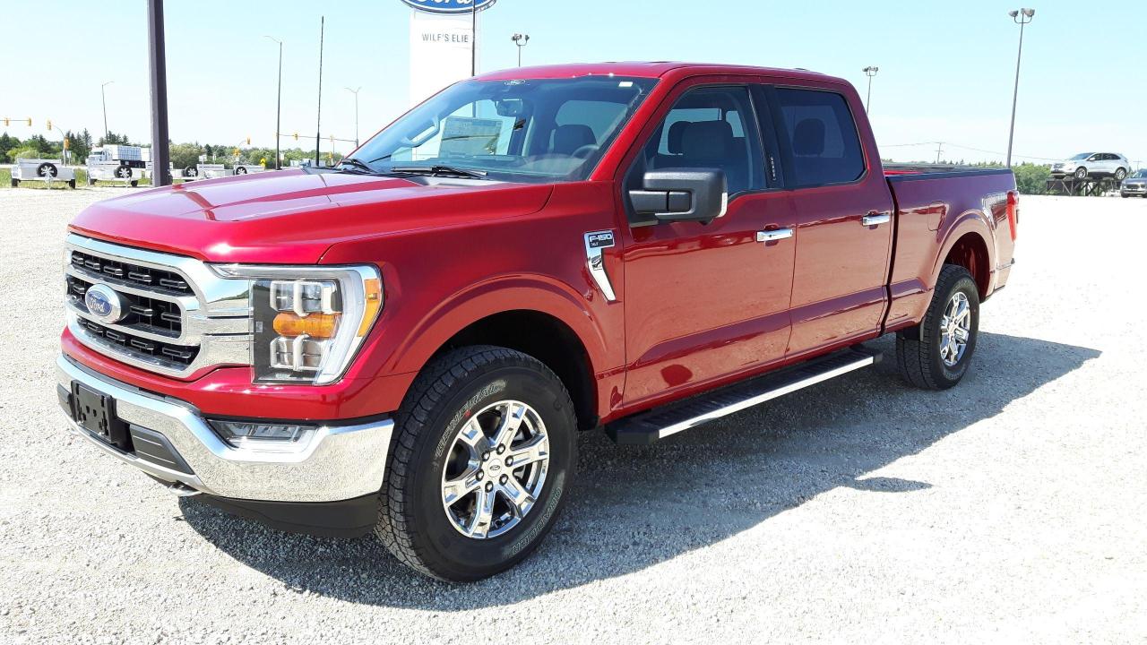 New 2021 Ford F 150 In Elie Manitoba Selling For 62 899 With Only 0 Km View This New Pickup Truck And Contact Wilf S Elie Ford