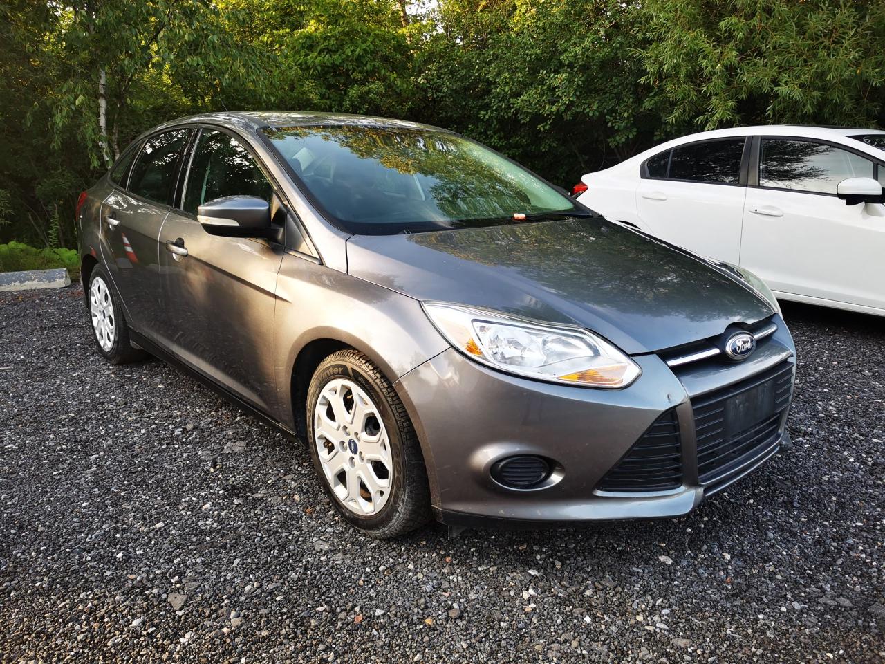 2014 Ford Focus SE - Photo #1