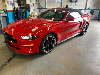 Used 2021 Ford Mustang GT Premium for sale in Kitchener, ON