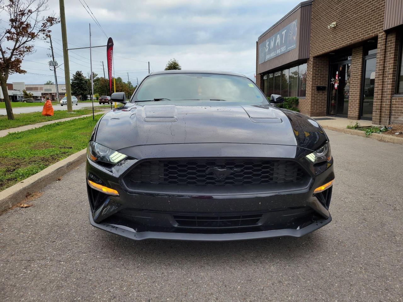 Used 2019 Ford Mustang EcoBoost Premium for sale in Brampton, ON