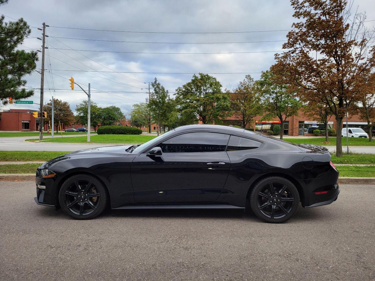 2019 Ford Mustang EcoBoost Premium Photo2