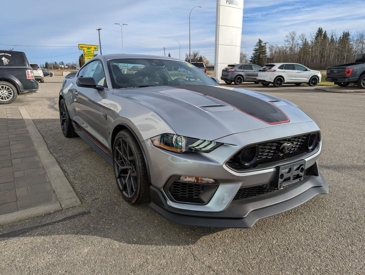 2021 Ford Mustang Mach 1 Photo5