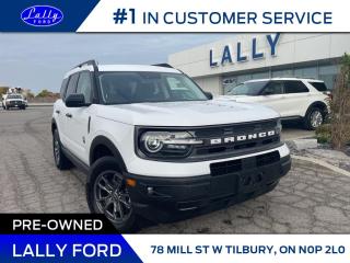 Used 2021 Ford Bronco Sport Big Bend, Low Km’s, One Owner, Nav! for sale in Tilbury, ON