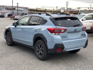 2021 Subaru Crosstrek Sport - Photo #9