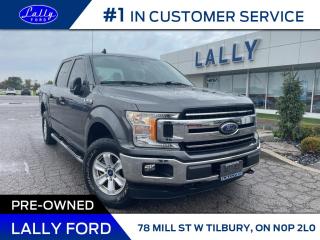 Used 2019 Ford F-150 XLT, One aowner, Local Trade, 4x4!! for sale in Tilbury, ON