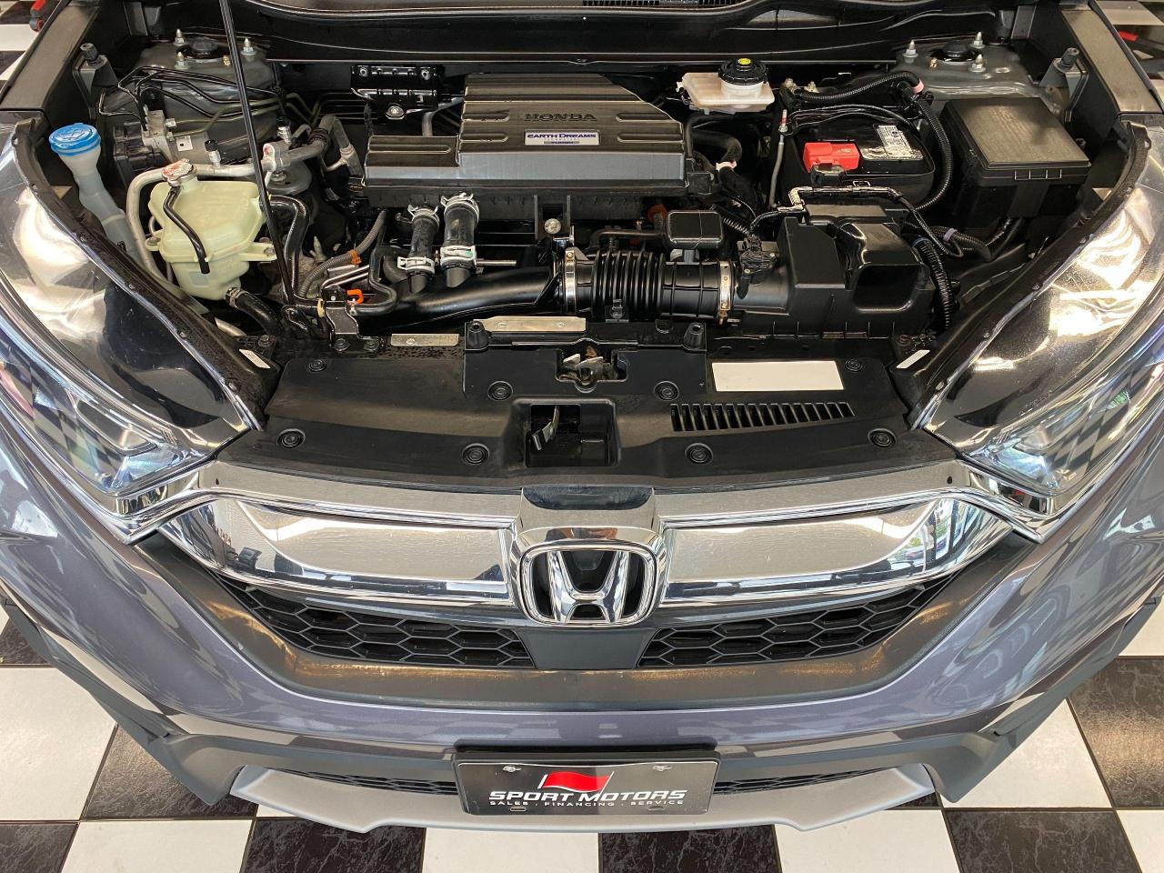2019 Honda CR-V EX AWD+LaneKeep+Adaptive Cruise+Roof+CLEAN CARFAX - Photo #7