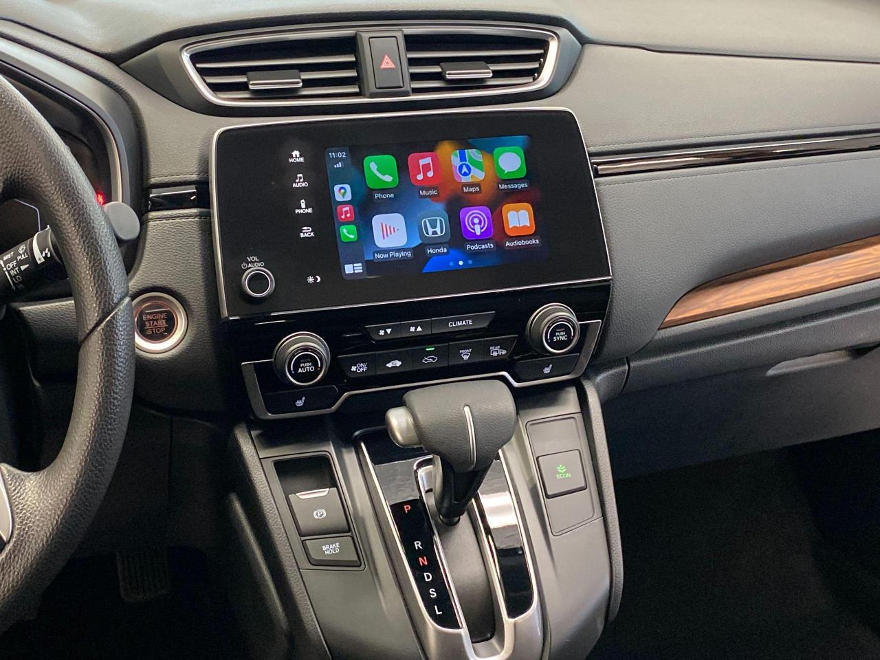 2019 Honda CR-V EX AWD+LaneKeep+Adaptive Cruise+Roof+CLEAN CARFAX - Photo #10