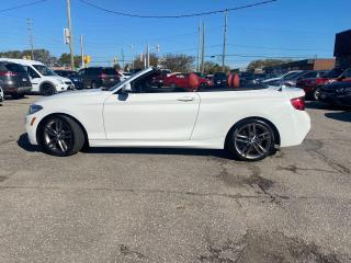 2015 BMW 228i xDrive 2dr Conv 228i xDrive AWD WHITE/RED NAVIGATION R-CA - Photo #5