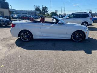 2015 BMW 228i xDrive 2dr Conv 228i xDrive AWD WHITE/RED NAVIGATION R-CA - Photo #8