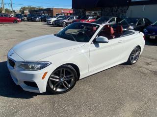 2015 BMW 228i xDrive 2dr Conv 228i xDrive AWD WHITE/RED NAVIGATION R-CA - Photo #9