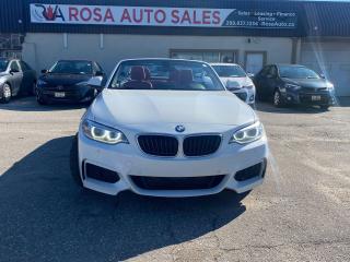 2015 BMW 228i xDrive 2dr Conv 228i xDrive AWD WHITE/RED NAVIGATION R-CA - Photo #10