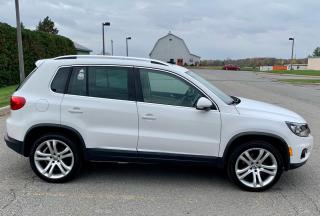 2013 Volkswagen Tiguan AWD/ Navi - Photo #3