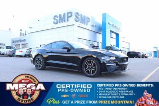Used 2019 Ford Mustang EcoBoost Premium - Remote Start, Heated / Cooled Leather, New Tires for sale in Saskatoon, SK