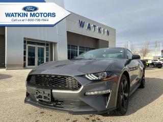 New 2021 Ford Mustang EcoBoost  - $275 B/W for sale in Vernon, BC