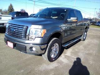 Used 2011 Ford F-150 FX4 SuperCrew 5.5-ft. Bed 4WD for sale in Leamington, ON