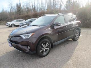 Used 2018 Toyota RAV4 XLE for sale in North Bay, ON