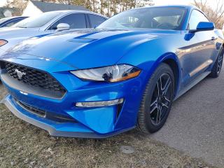 Used 2021 Ford Mustang EcoBoost Premium for sale in Pembroke, ON