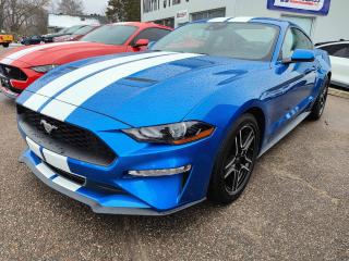 Used 2021 Ford Mustang EcoBoost Premium for sale in Pembroke, ON