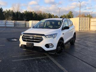 Used 2019 Ford Escape SE 4WD for sale in Cayuga, ON