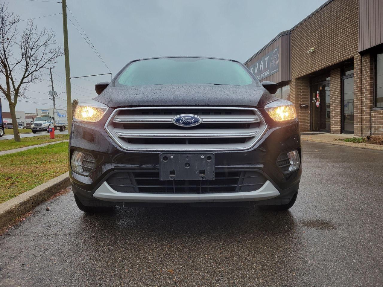 Used 2019 Ford Escape SE for sale in Brampton, ON