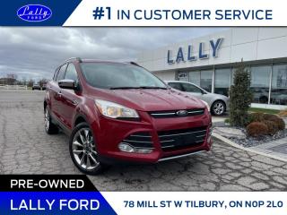 Used 2015 Ford Escape SE, Chrome Package, One Owner!! for sale in Tilbury, ON
