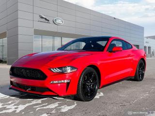 Used 2018 Ford Mustang EcoBoost SOLD & DELIVERED for sale in Winnipeg, MB