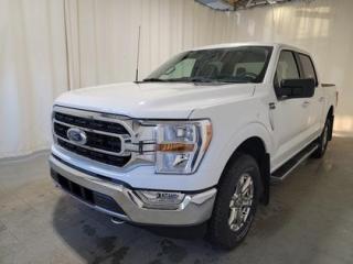New 2021 Ford F-150 4WD 300A W/XTR PACKAGE & TRAILER TOW PACKAGE for sale in Regina, SK