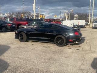 2020 Ford Mustang GT Premium Fastback SOUNDS AMMAZING  1OWNER NO ACC - Photo #5