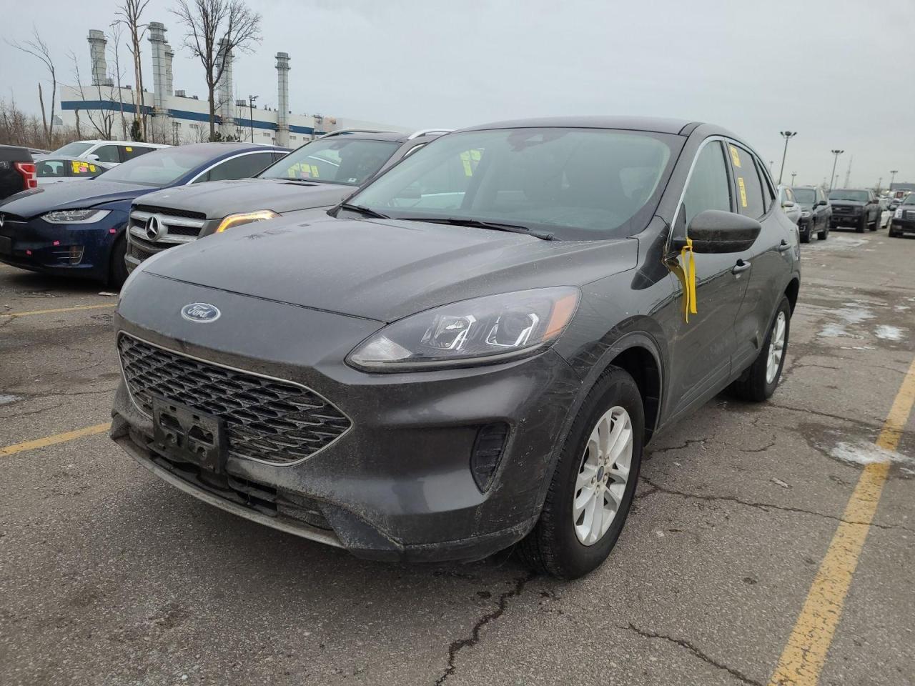 Used 2020 Ford Escape SE for sale in London, ON