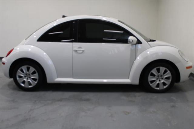 2010 Volkswagen Beetle 