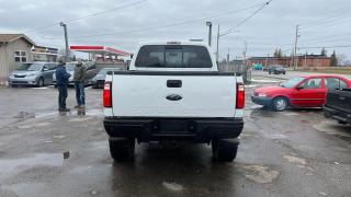 2010 Ford F-350 CABELA'S EDITION*4X4*CREW*ONLY 138KMS*DIESEL* - Photo #4