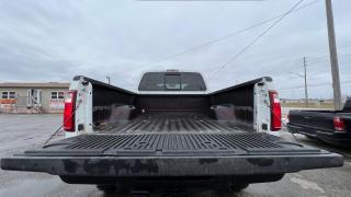 2010 Ford F-350 CABELA'S EDITION*4X4*CREW*ONLY 138KMS*DIESEL* - Photo #18