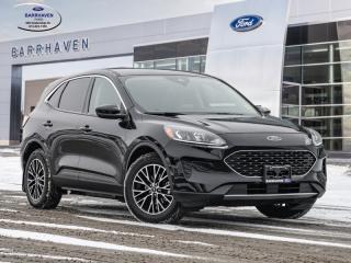Used 2020 Ford Escape SE Plug-In Hybrid for sale in Ottawa, ON