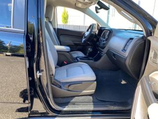 2019 Chevrolet Colorado 2WD Work Truck - Photo #13