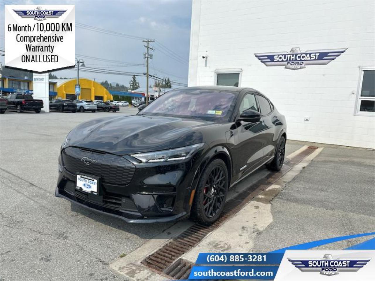 2022 Ford Mustang Mach-E GT Performance Edition Photo0