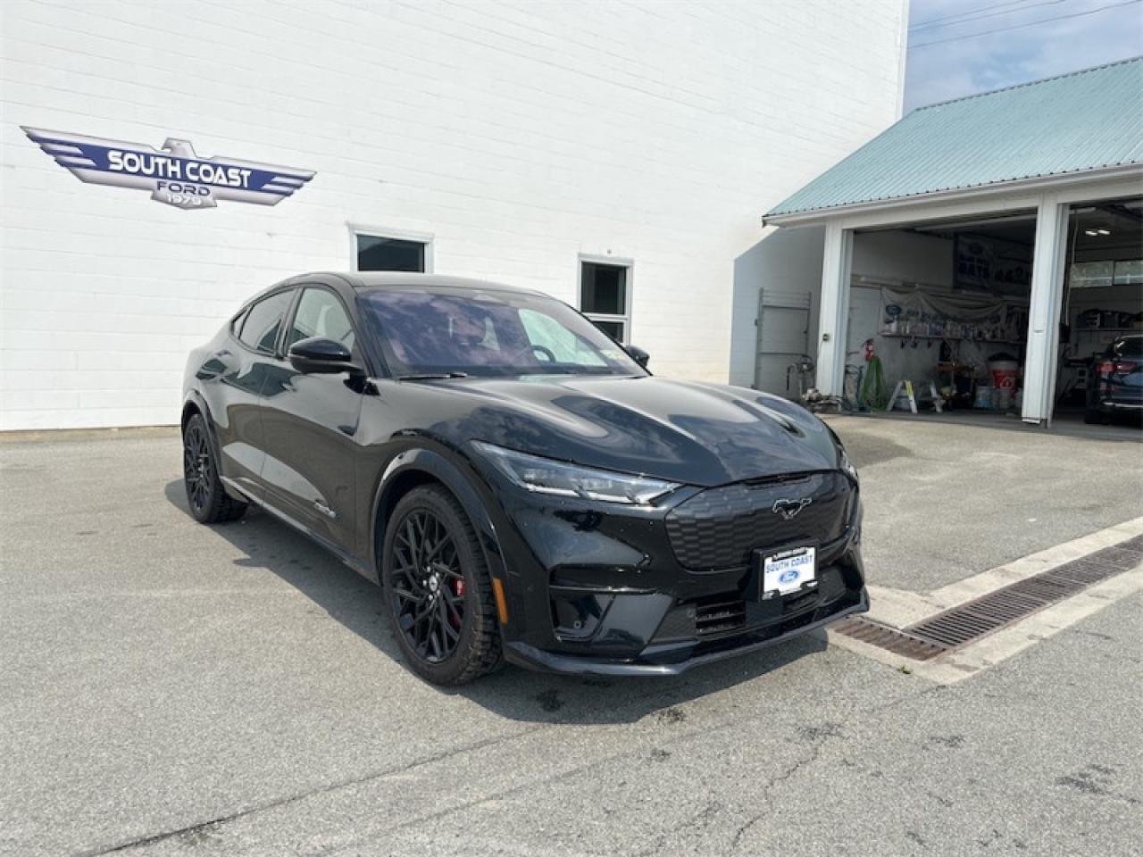 2022 Ford Mustang Mach-E GT Performance Edition Photo5