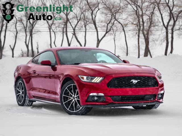 2017 Ford Mustang EcoBoost Photo1