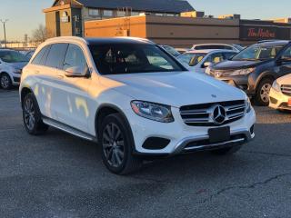 Used 2016 Mercedes-Benz GL-Class GLC 300 for sale in Langley, BC