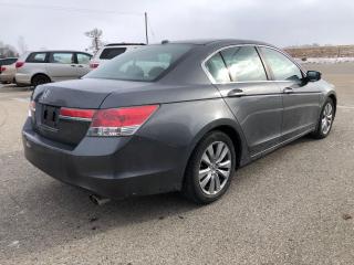 2012 Honda Accord EX-L**Auto**Clean Certified**Fully Loaded Nav** - Photo #5