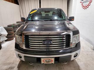 Used 2012 Ford F-150 XLT for sale in Windsor, ON