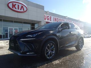 Used 2021 Lexus NX 300 NX 300 F-SPORT for sale in Nepean, ON
