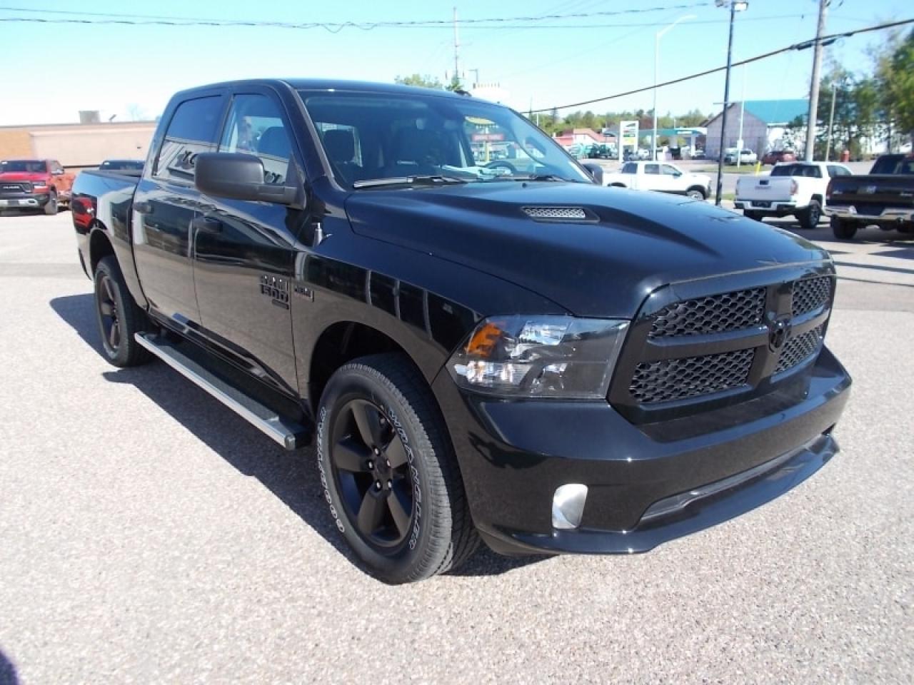 2022 RAM 1500 Classic TRADESMAN Photo2