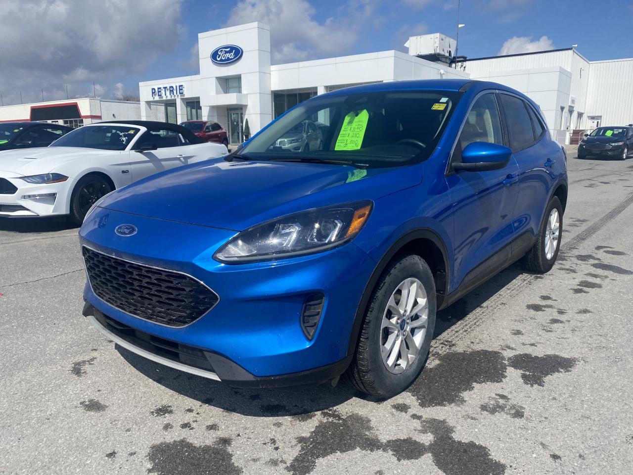 Used 2020 Ford Escape SE for sale in Kingston, ON